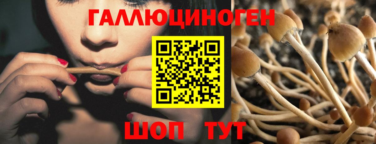 Псилоцибиновые грибы мухоморы  Вход с VPN  даркнет сайт  Октябрьский 